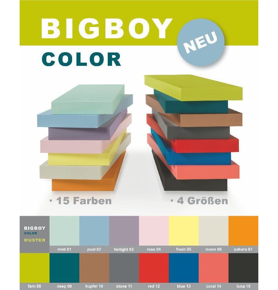 Dolle Regaleinsatz Dolle Regalboden Big Boy 57 x 25 cm, 50 mm, grau günstig online kaufen