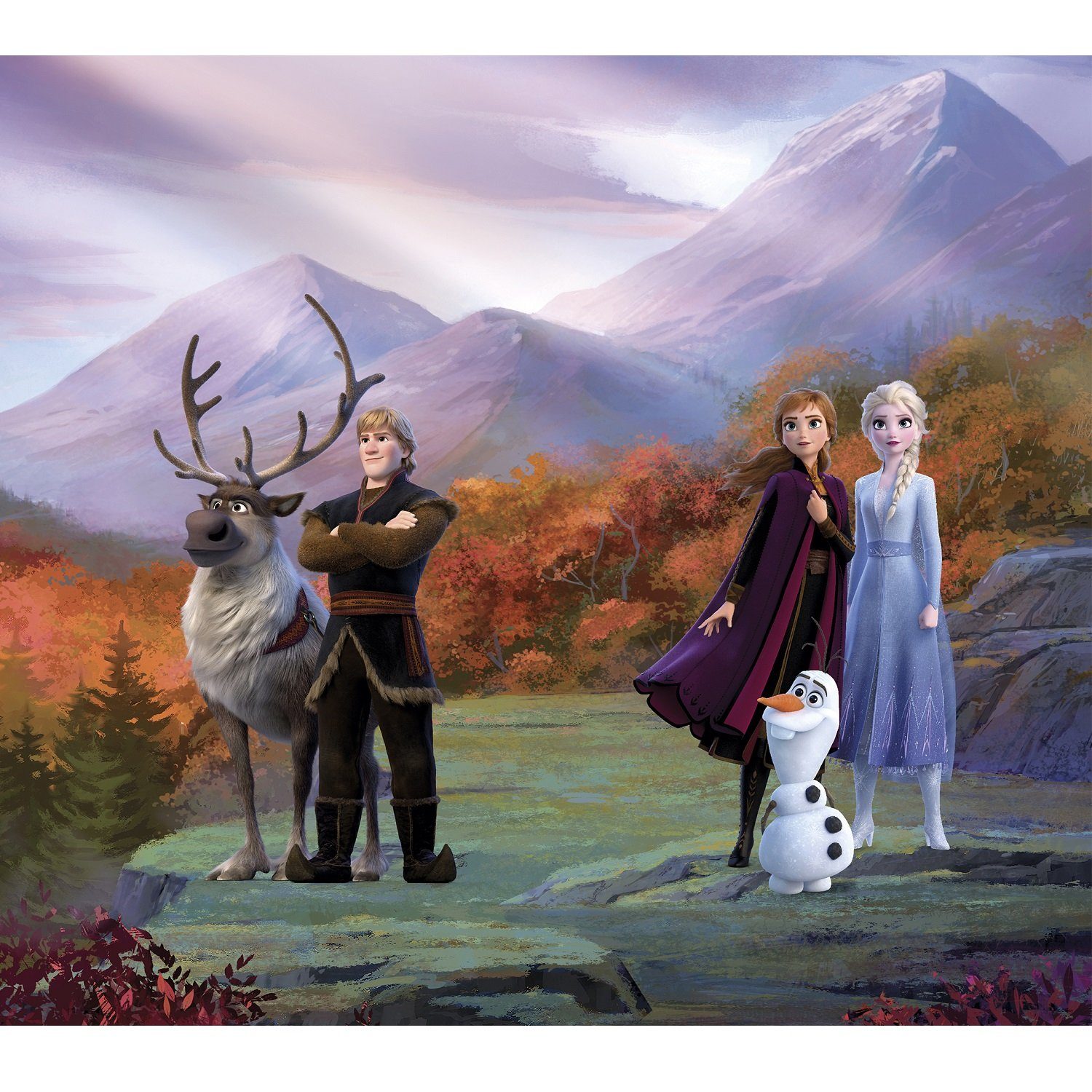 Vorhang Vorhang 180*160cm original Disney FROZEN, PAW PATROL 2-teilig AUSWAHL, Disney