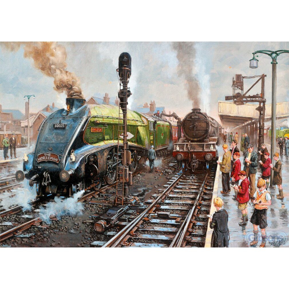 GIBSONS Puzzle Doncaster Bystander Puzzle 1000 Teile, Puzzleteile