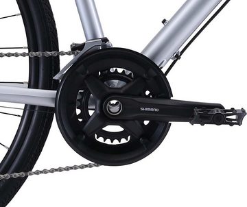 FUJI Bikes Fitnessbike Absolute Disc 1.7, 18 Gang Shimano Alivio shadow Schaltwerk, Kettenschaltung