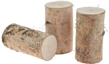 matches21 HOME & HOBBY Bastelnaturmaterial Birkenstämmchen für Basteln Deko in 5 x 10 cm, (1-tlg), Birken-Holz Naturmaterial Holz-Stamm für Basteln und Dekorieren