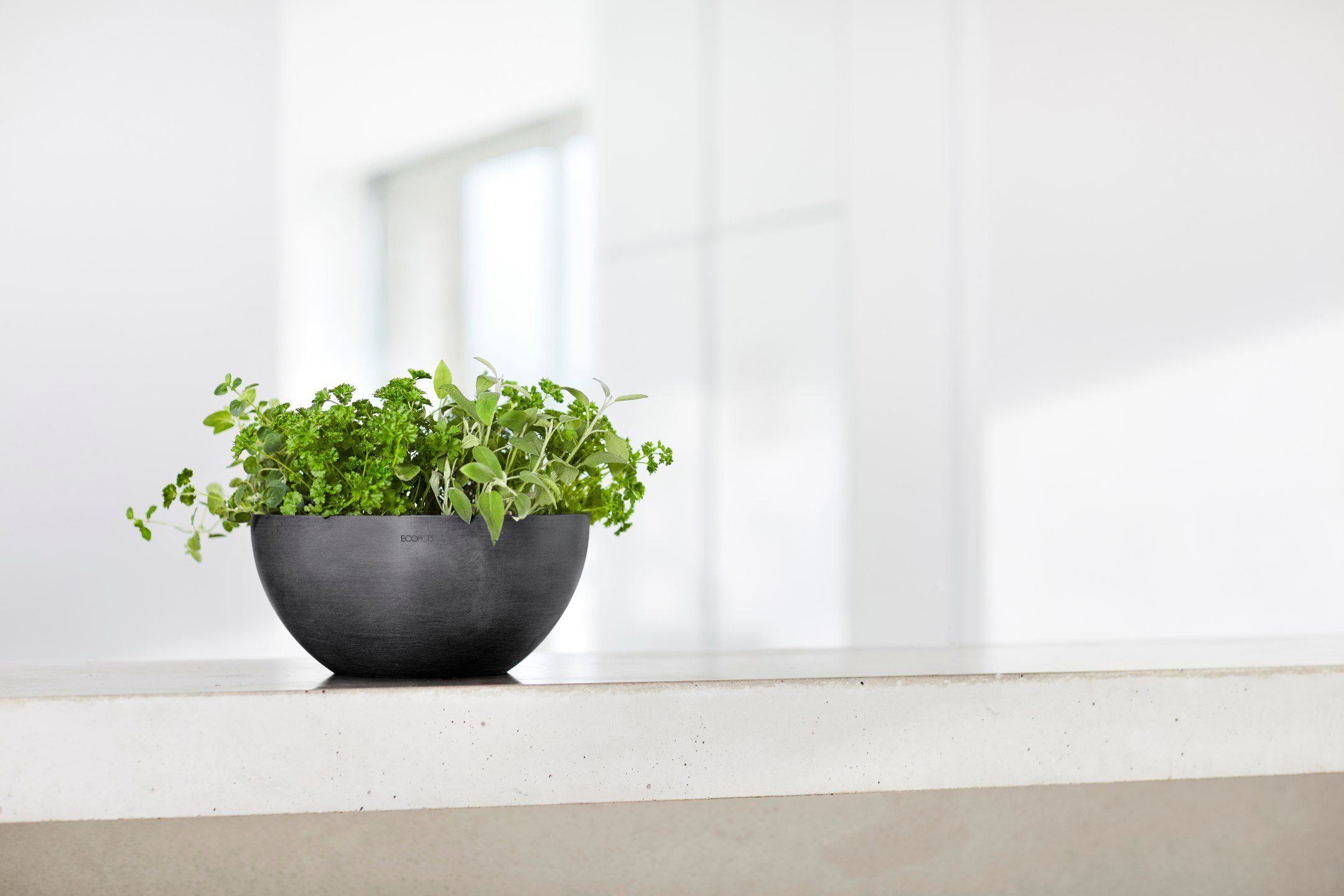 ECOPOTS Blumentopf BRUSSELS Dark Grey, BxTxH: günstig online kaufen