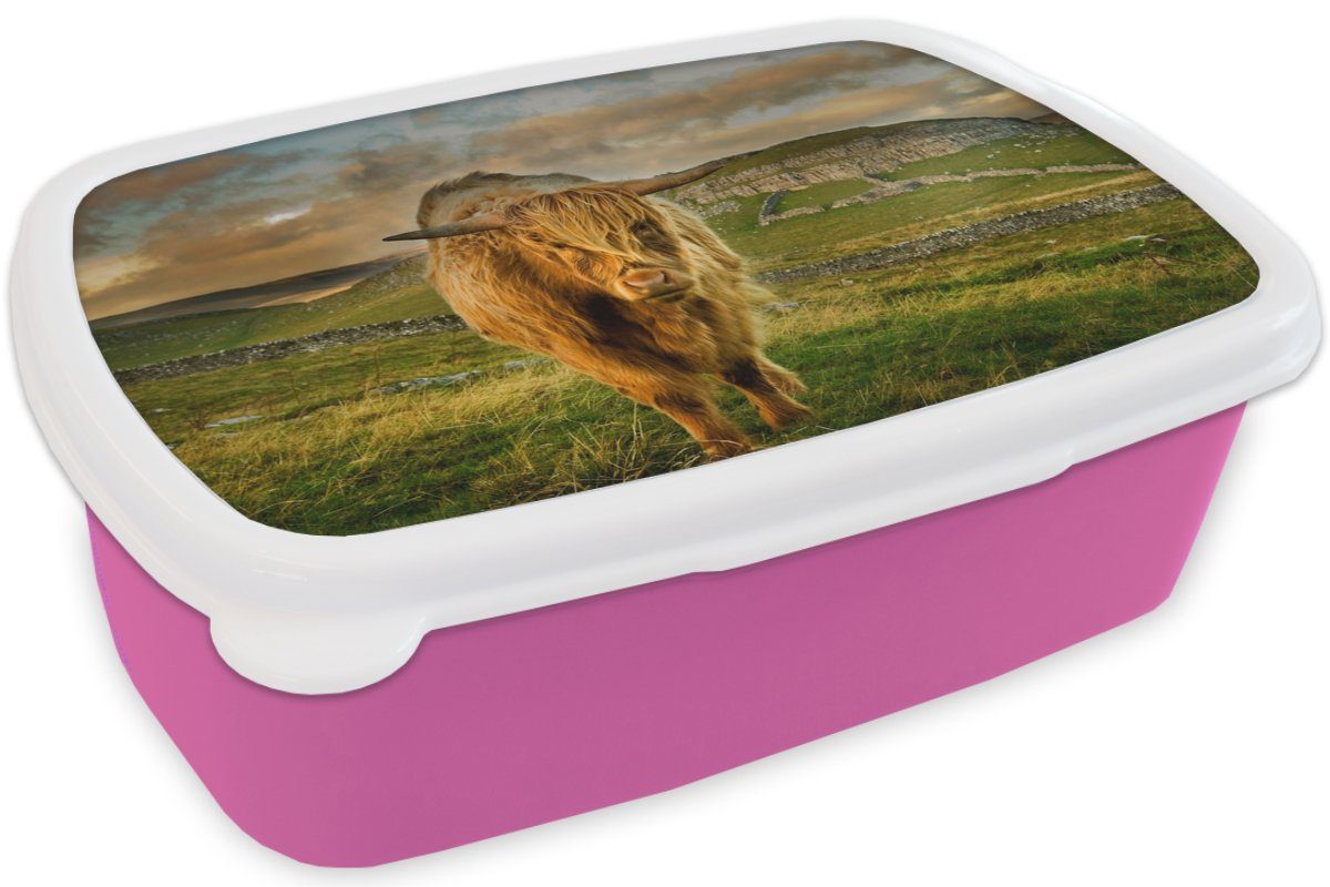 Highlander Schottischer rosa MuchoWow für Berg, Mädchen, Kunststoff, - - Kinder, Lunchbox Brotdose (2-tlg), Brotbox Gras Kunststoff Snackbox, Erwachsene,