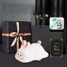 Little Rabbit Pat Light Drei Helligkeitsstufen + 30-Minuten-Timer + Heißprägung und schwarze Verpackung