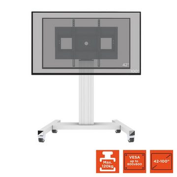 Celexon Display-Rollwagen Fixed-42100M Monitorständer, (bis 100 Zoll, max VESA 800 x 600, silber)