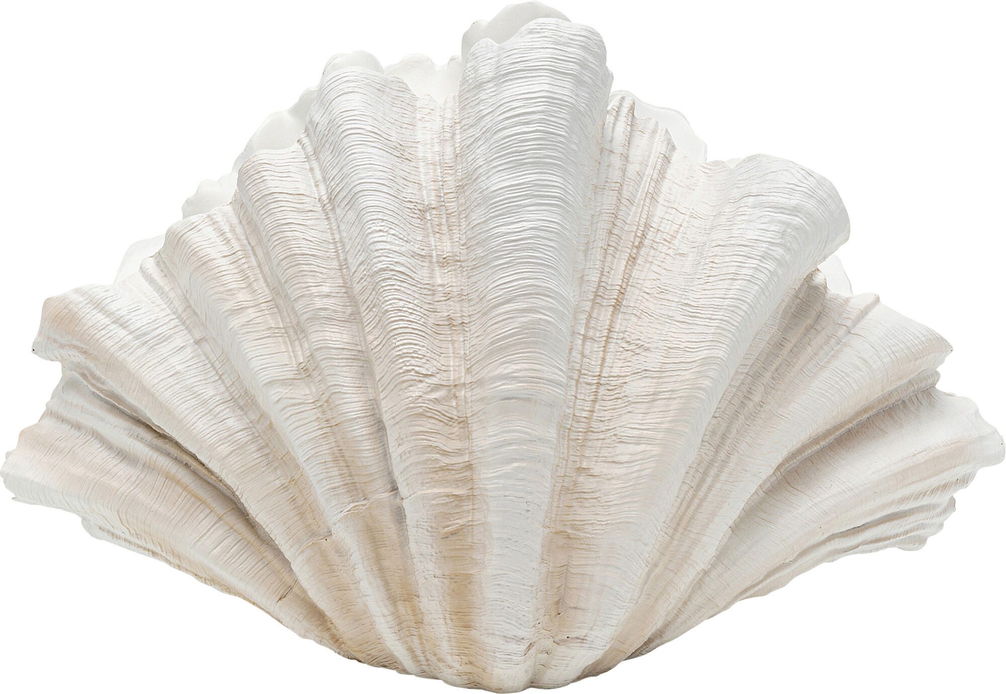 Kare Design Dekovase Deko Vase Concha günstig online kaufen
