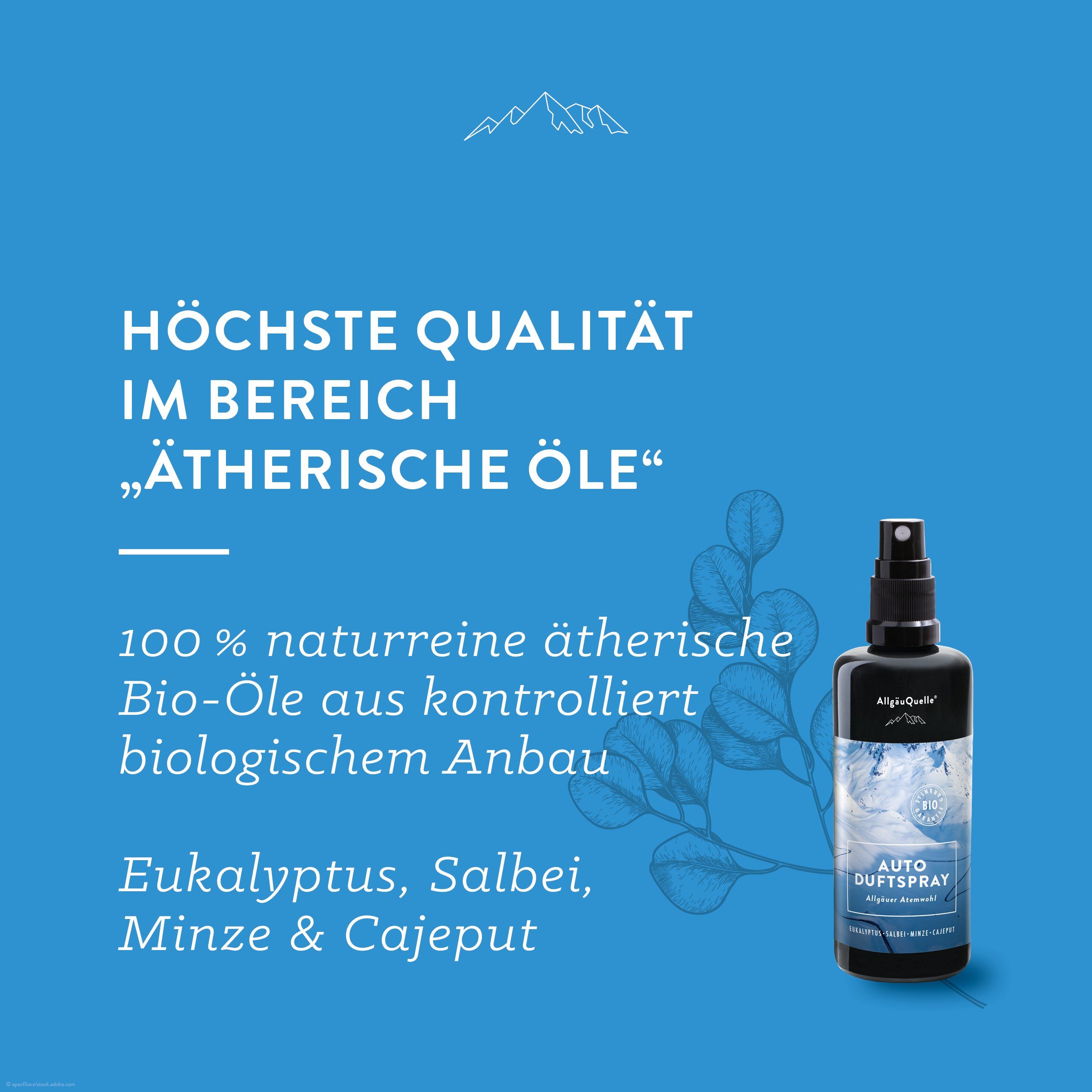 Allgäuquelle Raumduft Bio Auto Duftspray Allgäuer Atemwohl (1 x 100ml), mit  Eukalyptus, Salbei, Minze und Cajeput