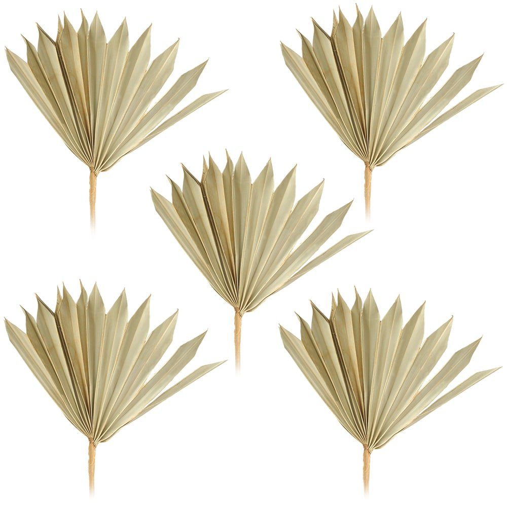 Kunstblume Palmsonnen Naturdeko Bastelmaterial natur 5er Set 11-22 cm Palm, matches21 HOME & HOBBY, Höhe 15 cm