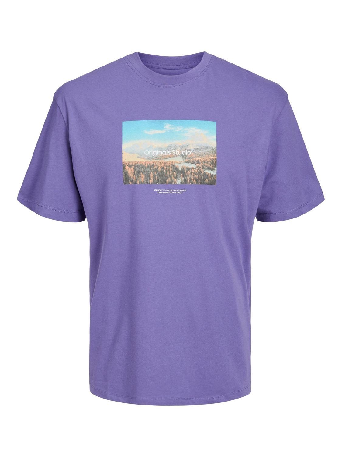 Jack & Jones T-Shirt JORVESTERBRO PHOTO (1-tlg) aus Baumwolle Twilight Purple 12240123