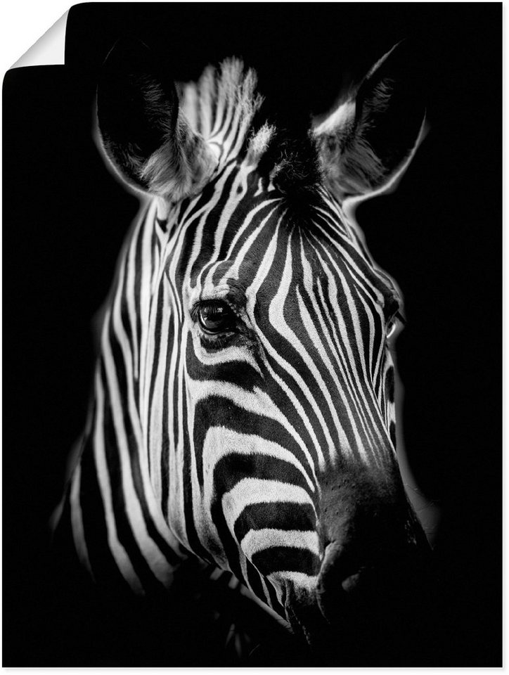 Größen St), Zebra Leinwandbild, Poster Wandbild als versch. Zebra, Wandaufkleber Bilder (1 Alubild, oder Artland in