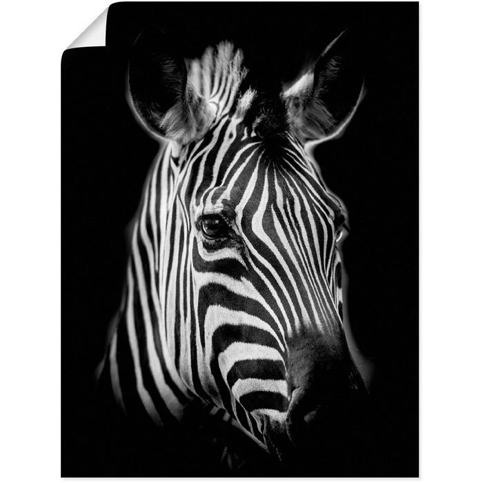 Artland Wandbild Zebra Zebra Bilder (1 St) als Alubild Leinwandbild Wandaufkleber oder Poster in versch. Größen