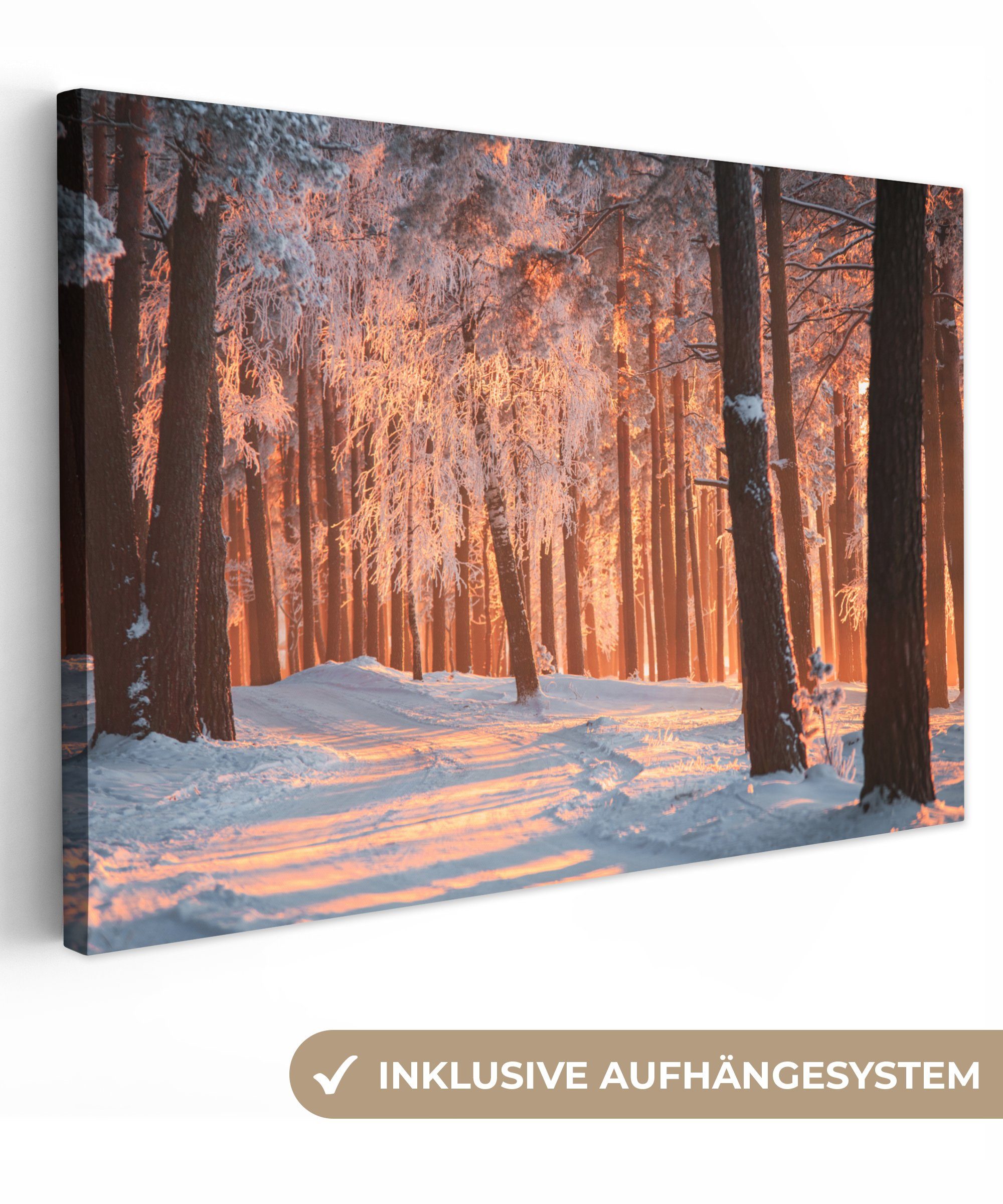 OneMillionCanvasses® Leinwandbild Winter - Wald - Baum, (1 St), Wandbild Leinwandbilder, Aufhängefertig, Wanddeko, 30x20 cm