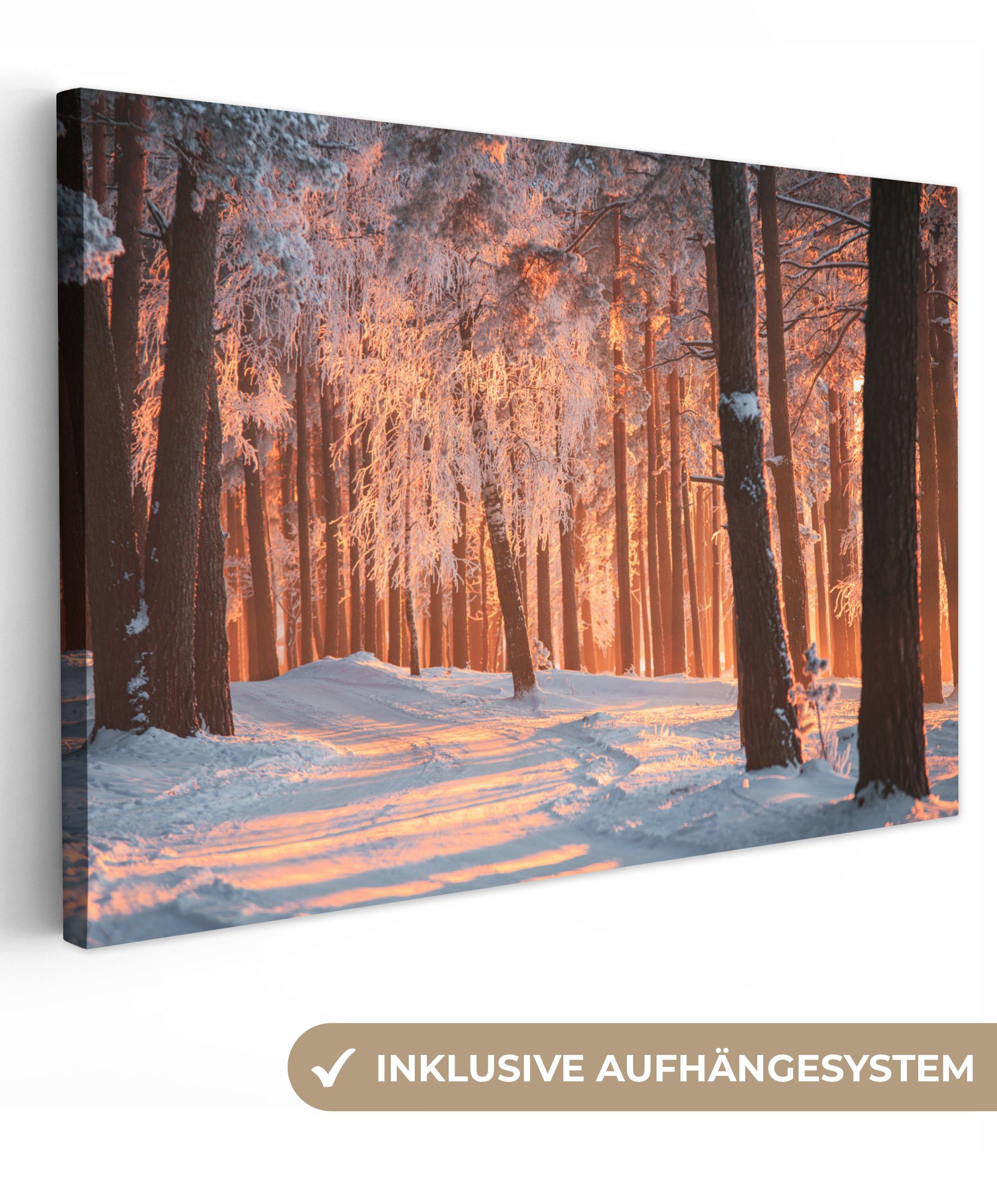 St), (1 Winter - Aufhängefertig, Wandbild - cm OneMillionCanvasses® Leinwandbild Wald 30x20 Baum, Wanddeko, Leinwandbilder,