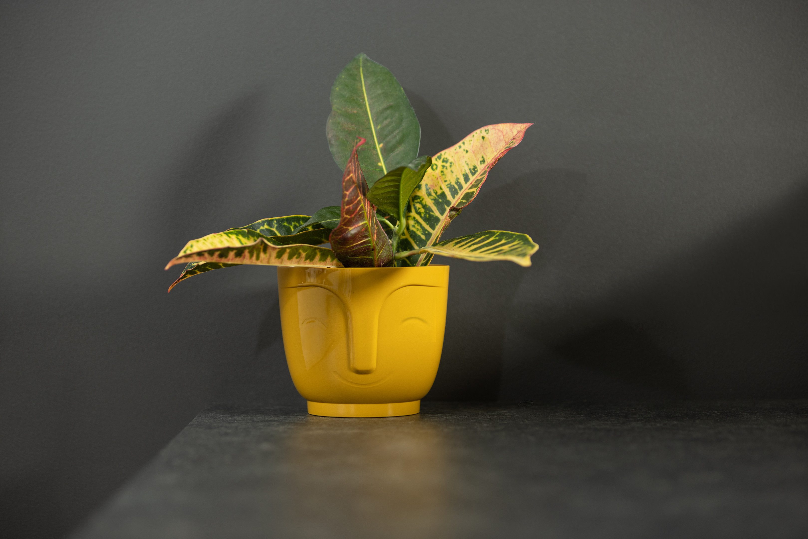 Lamela Übertopf Blumentopf ATENA Ø165mm günstig online kaufen