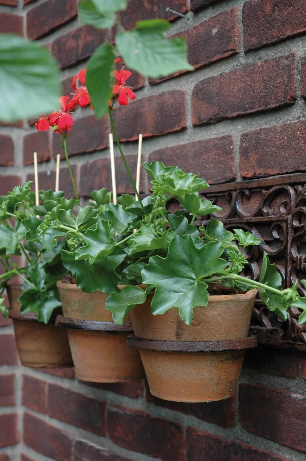 esschert design Pflanzschale Esschert Design Blumentopfhalter 3-fach Gusseisen Wandhänger Garten