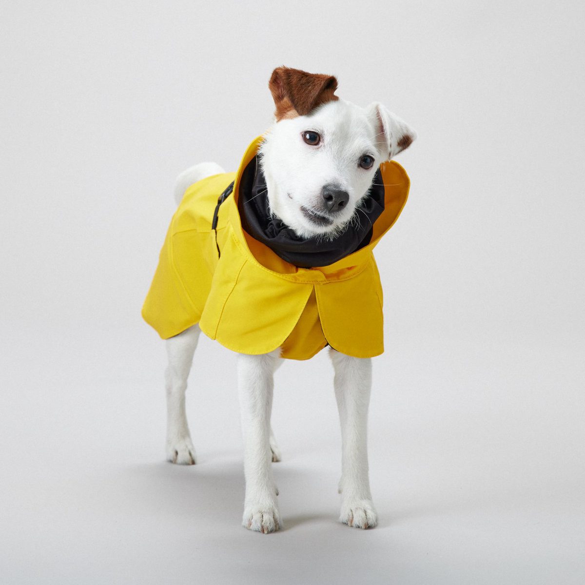 PAIKKA Hunderegenmantel Hunde Regenmantel leicht & reflektierend "Visibility Raincoat Lite g