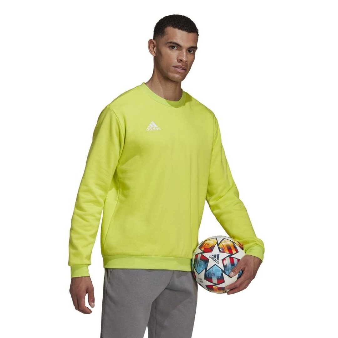 adidas Performance Sweatshirt Entrada 22