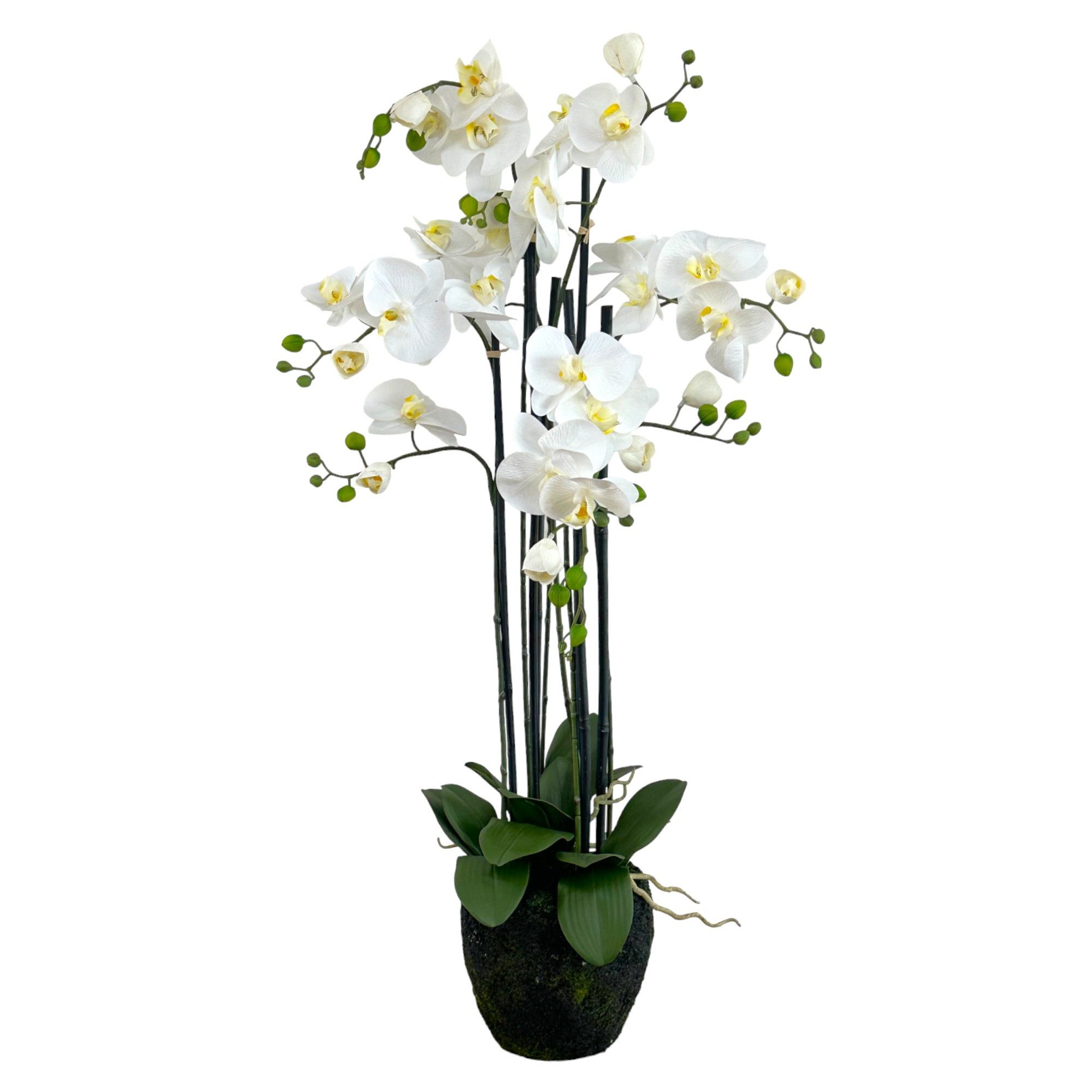 Kunstorchidee Künstliche Orchidee im Moosballen 96cm, Floratexx GmbH