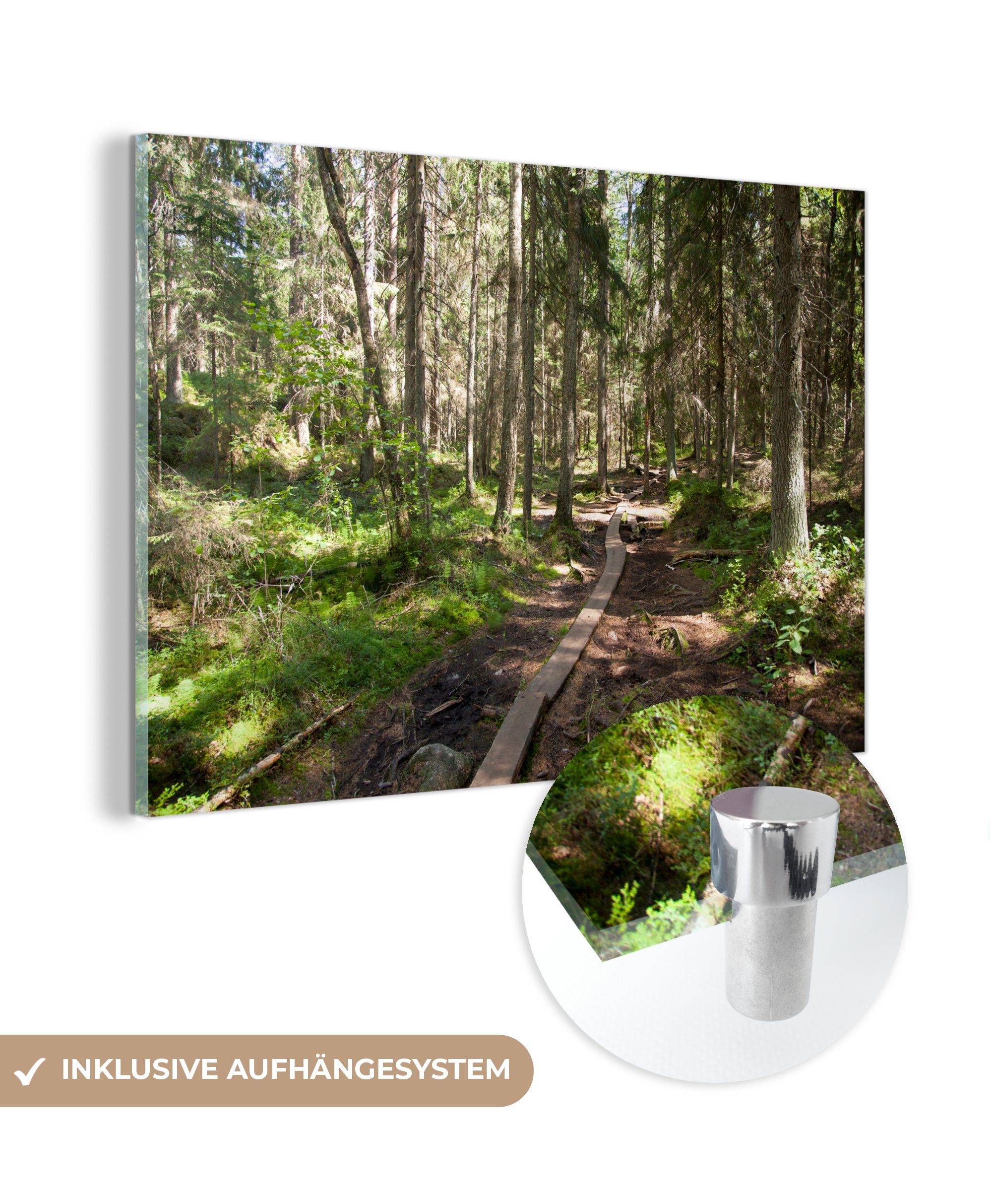 MuchoWow Acrylglasbild Ein hölzerner Wanderweg durch die unberührte Natur des, (1 St), Acrylglasbilder Wohnzimmer & Schlafzimmer