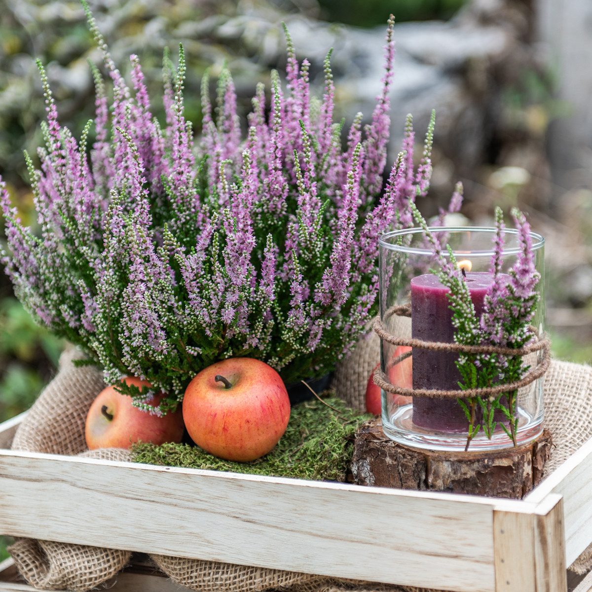 Kunstpflanze Deko-Äpfel Cox Orange 6cm 6 St., künstliche Früchte, realistis günstig online kaufen