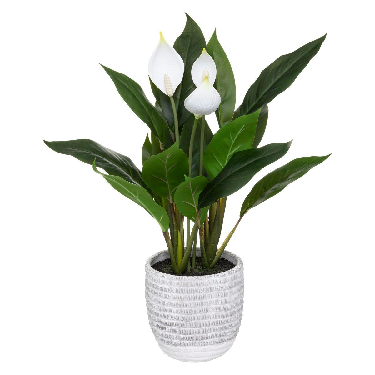 Kunstpflanze Zimmerpflanze, Atmosphera Créateur d'intérieur, Höhe günstig online kaufen