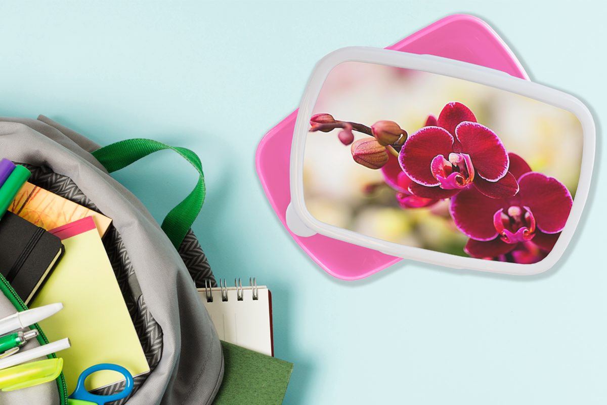 Erwachsene, Brotdose vor (2-tlg), Orchideen Brotbox Kunststoff für einem von Kinder, Hintergrund, unscharfen Kunststoff, Mädchen, roten Nahaufnahme MuchoWow Snackbox, rosa Lunchbox