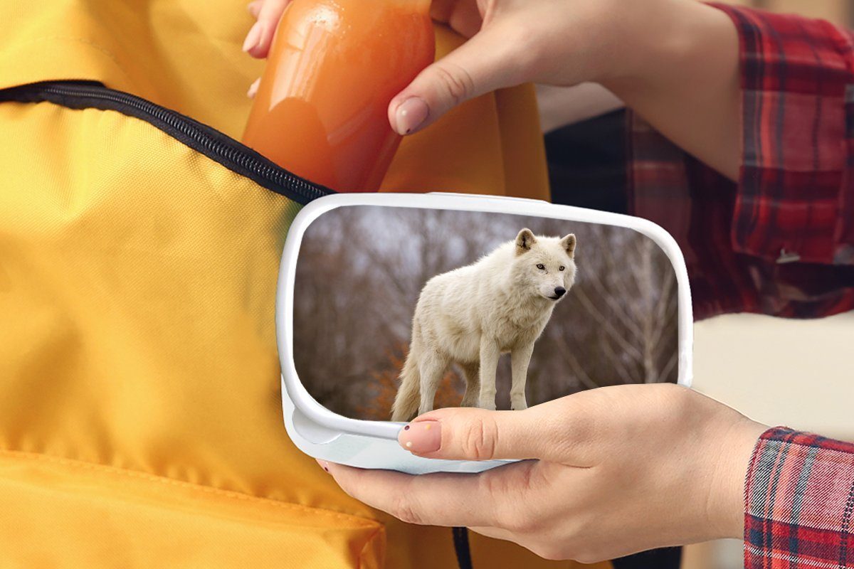 - Lunchbox MuchoWow und Erwachsene, Mädchen - Kunststoff, Jungs Weiß, Brotbox (2-tlg), Wolf Stein Brotdose, Kinder und für für