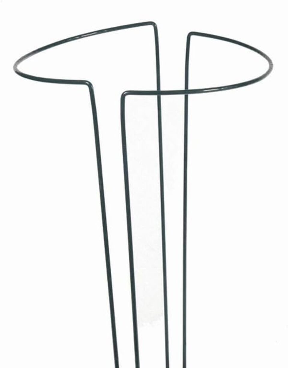 Siena Garden Rankhilfe Strauchstütze, 70x40cm, grün, 1 St.