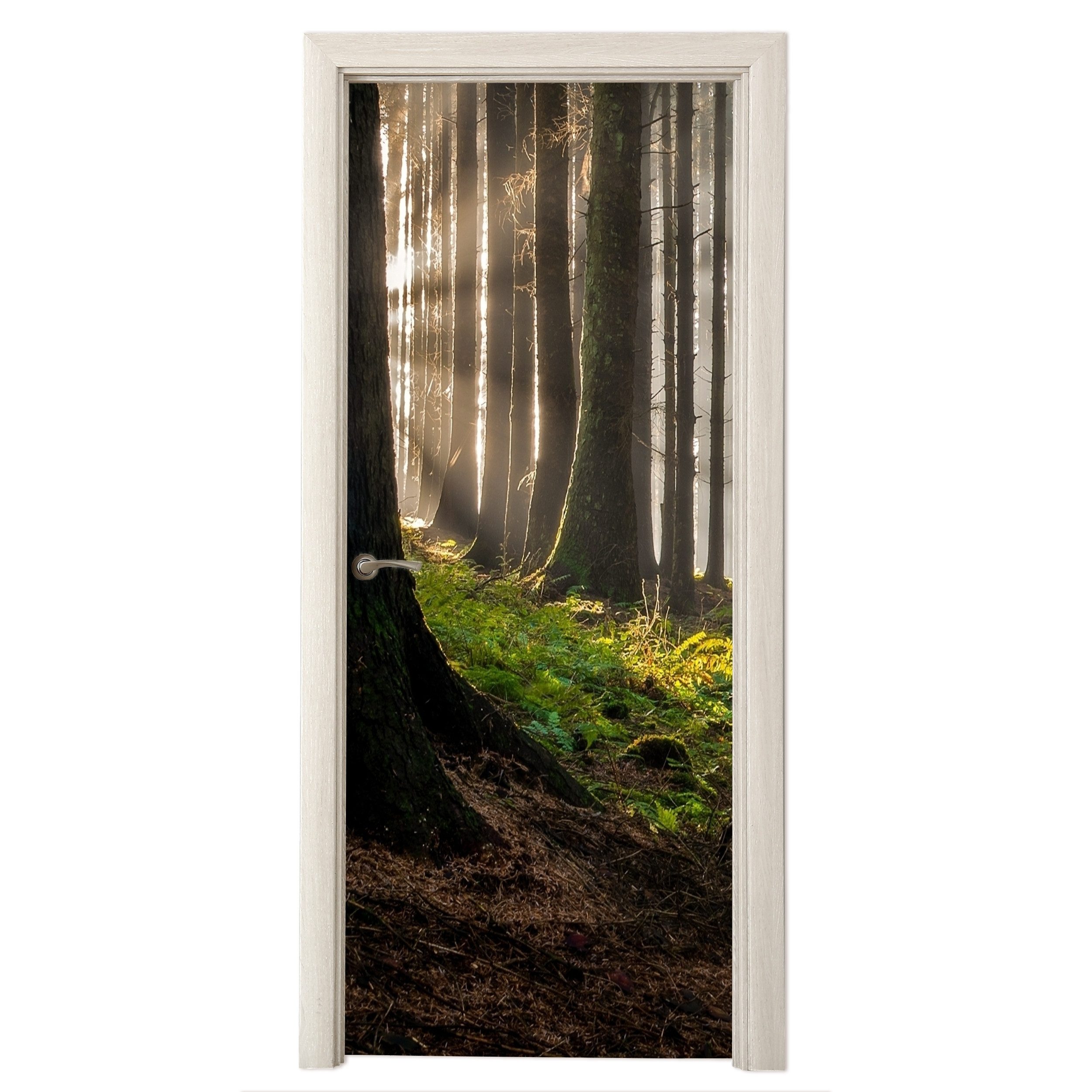 MuchoWow Türtapete Sonne - Äste - Bäume - Wald - Natur, Matt, bedruckt, (1 St), Selbstklebende Tapete, Folie für Möbel, 70x215 cm
