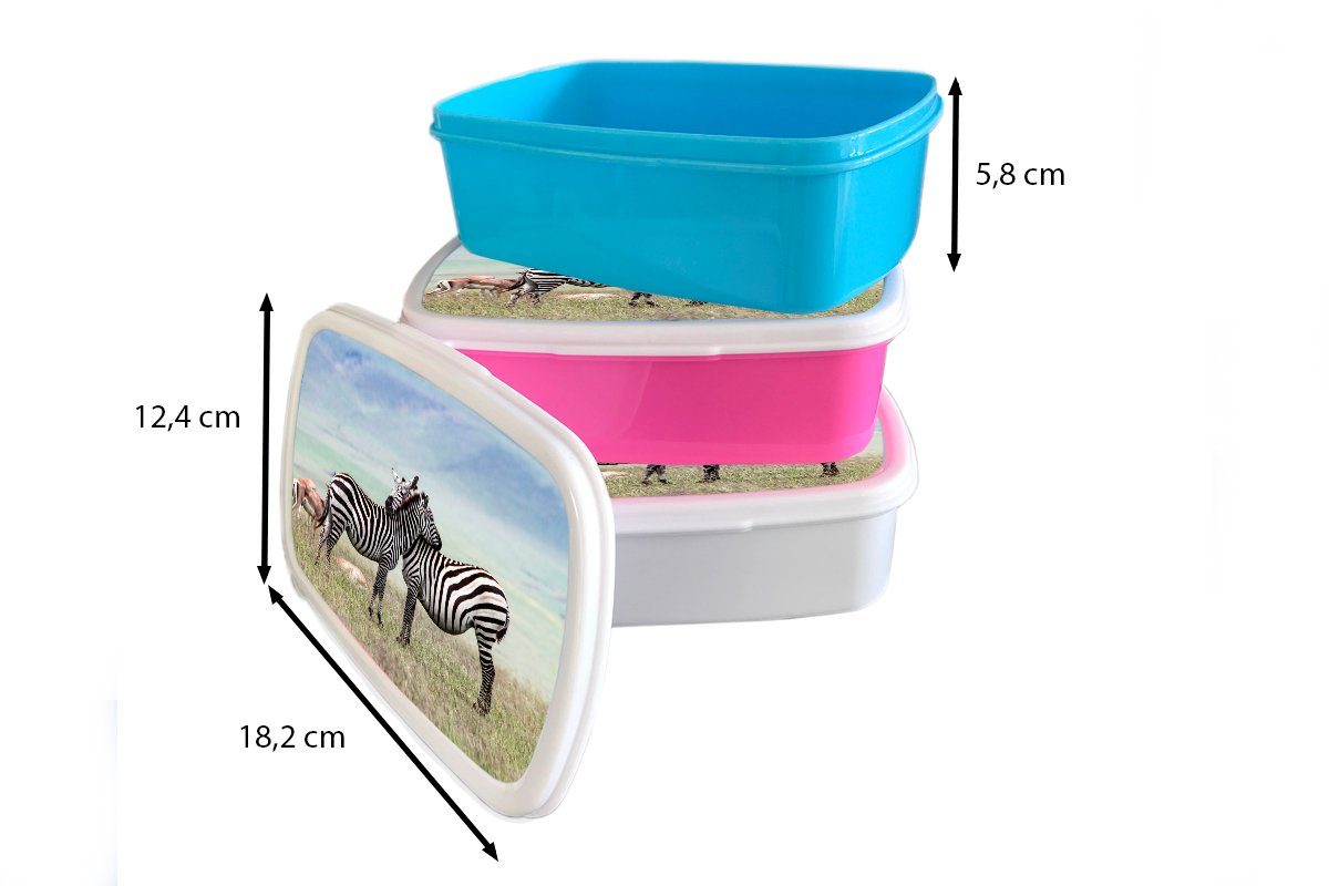 Mädchen, Kinder, Kunststoff, Schwarz Zebras Brotbox - Erwachsene, MuchoWow (2-tlg), für Kunststoff Lunchbox Gras rosa - Brotdose Snackbox, Weiß, -