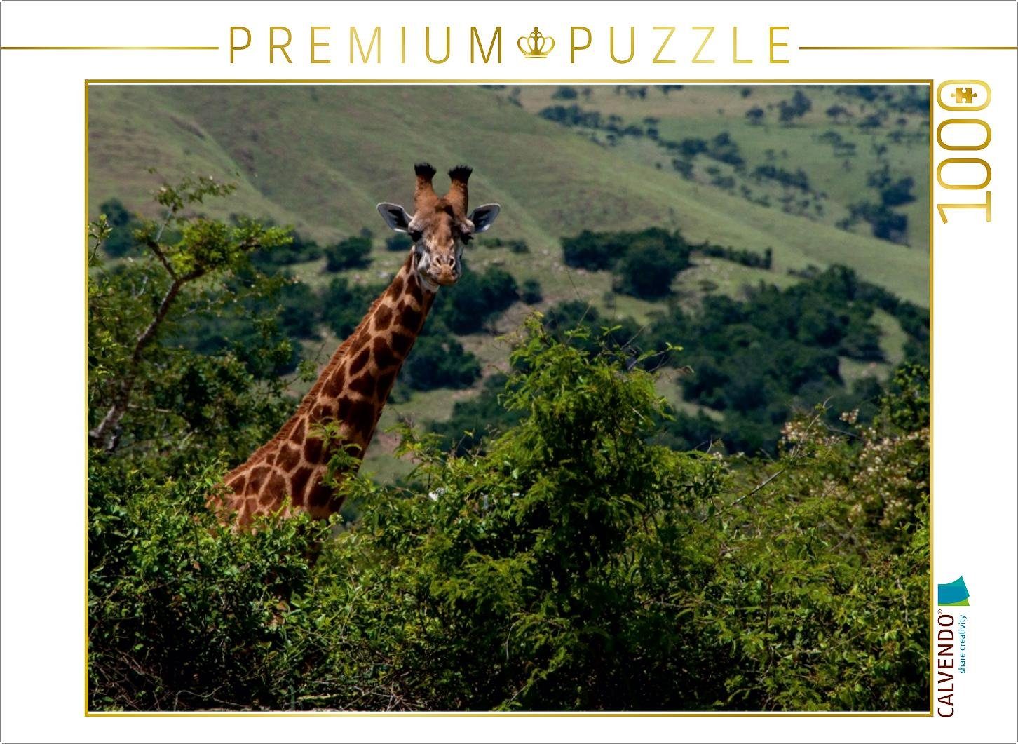 CALVENDO Puzzle CALVENDO Puzzle Neugierige Giraffe 1000 Teile Lege-Größe 64 x 48 cm Foto-Puzzle Bild von Ingrid Raagaard, 1000 Puzzleteile