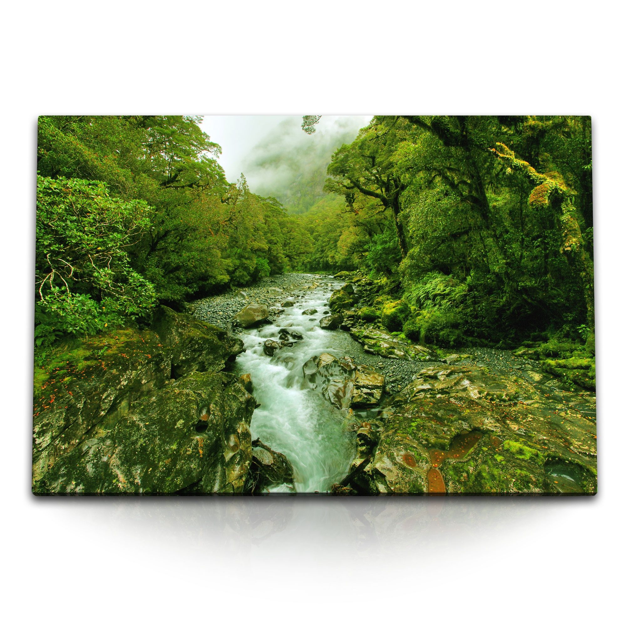 Leinwandbild 120x80cm Wandbild auf Leinwand Bach im Dschungel Bäume Grün Tropisch F