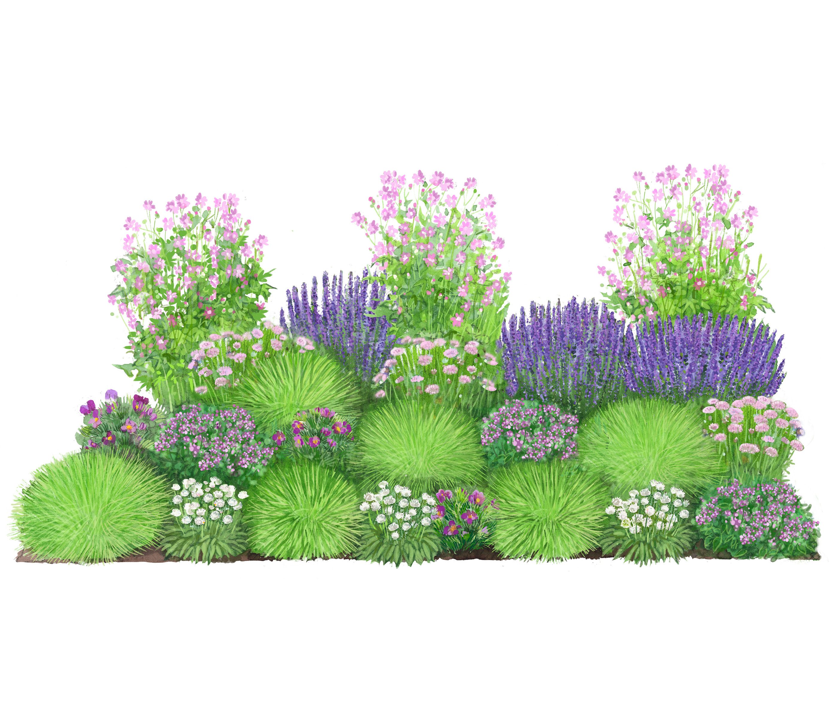 Dehner Staude Bio Stauden-Set Heimatgarten, je 5-20 cm, Ø Topf je 9 cm, exklusive Landlust Kollektion mit 24 Pflanzen für sonnige Standorte