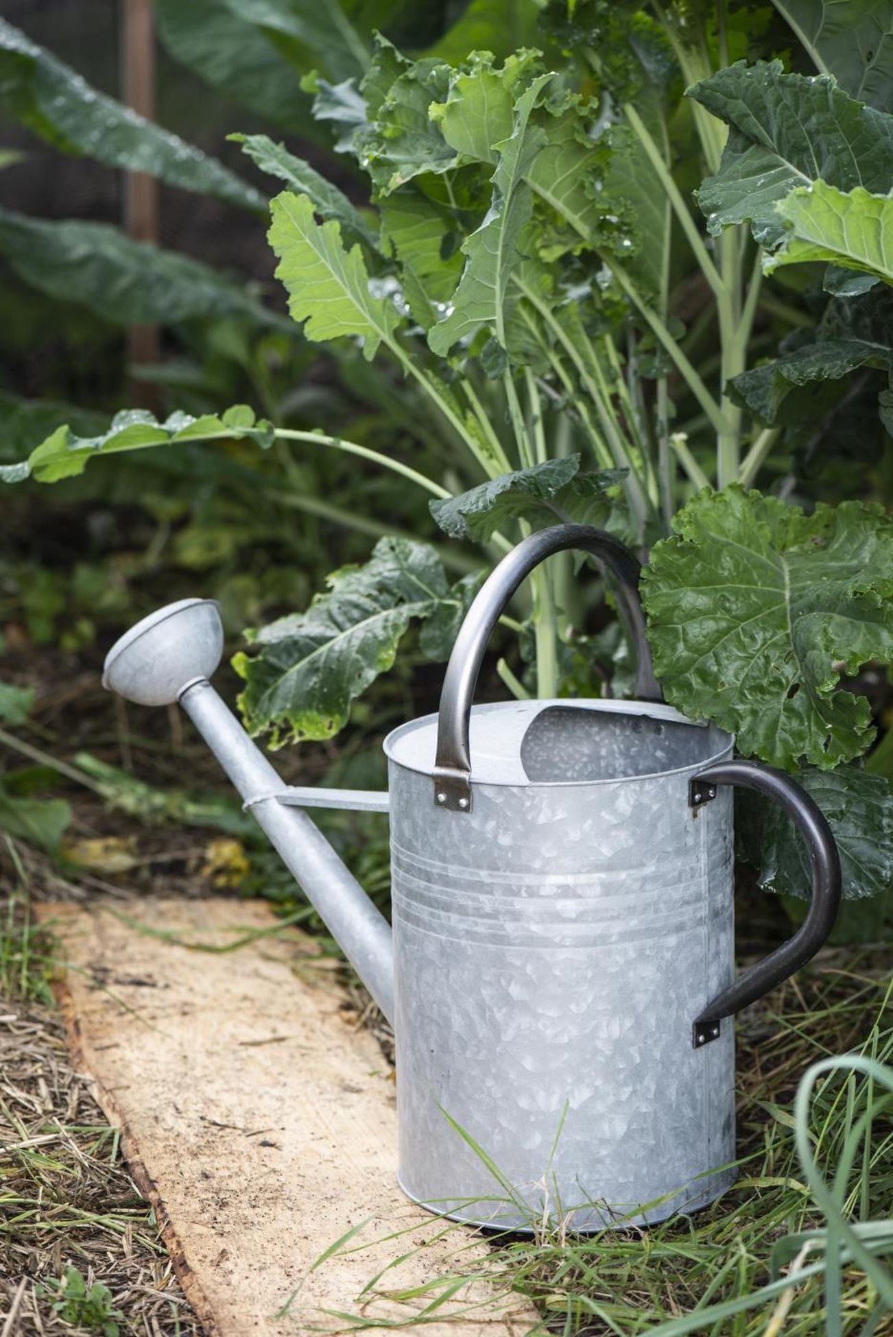 Ib Laursen Gießkanne Gießkanne Garten 11 Liter Metall Zink Retro H 44cm