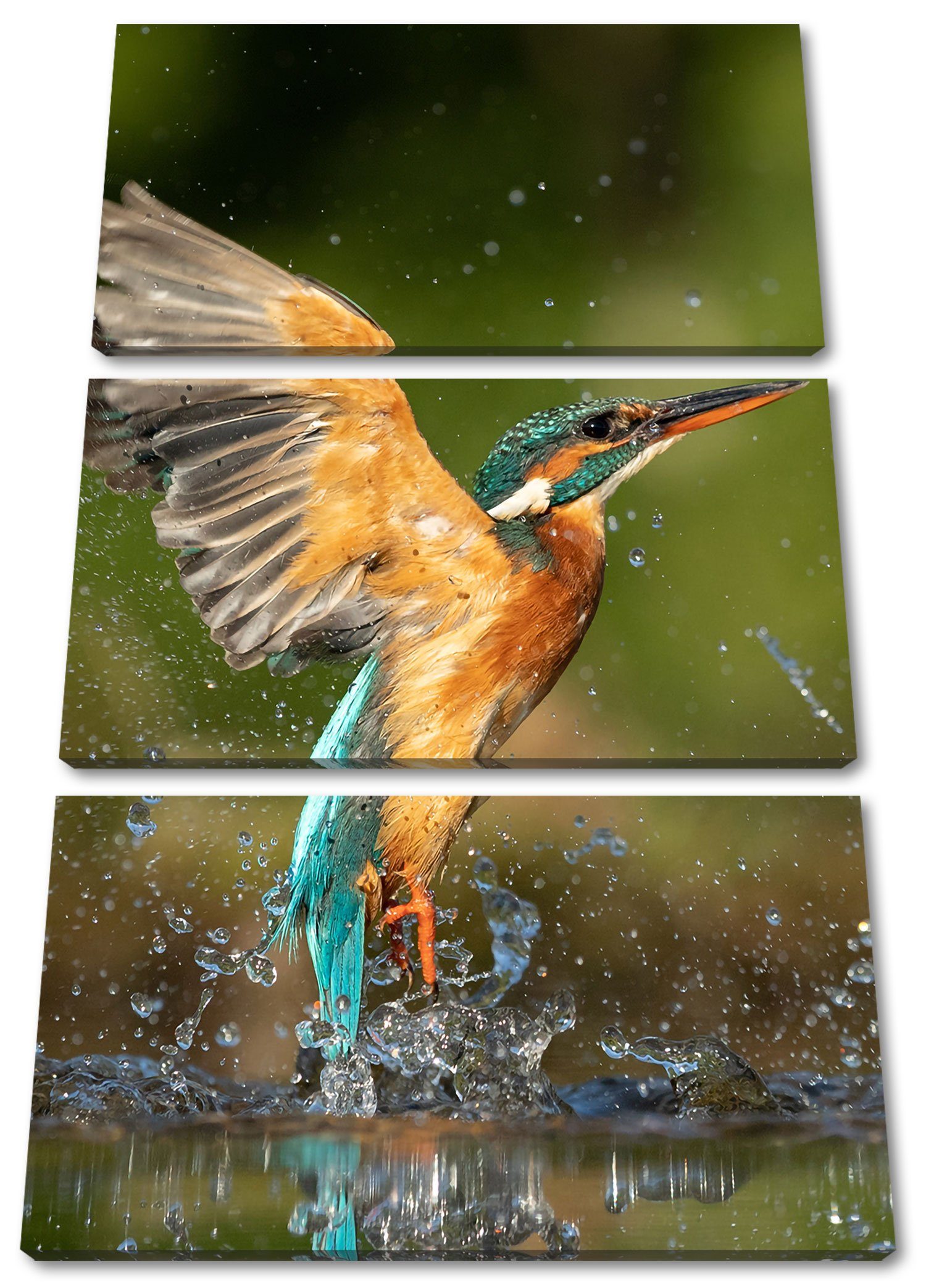 Pixxprint Leinwandbild Eisvogel auf der Jagd nach Fischen, Eisvogel auf der Jagd nach Fischen 3Teiler (120x80cm) (1 St), Leinwandbild fertig bespannt, inkl. Zackenaufhänger