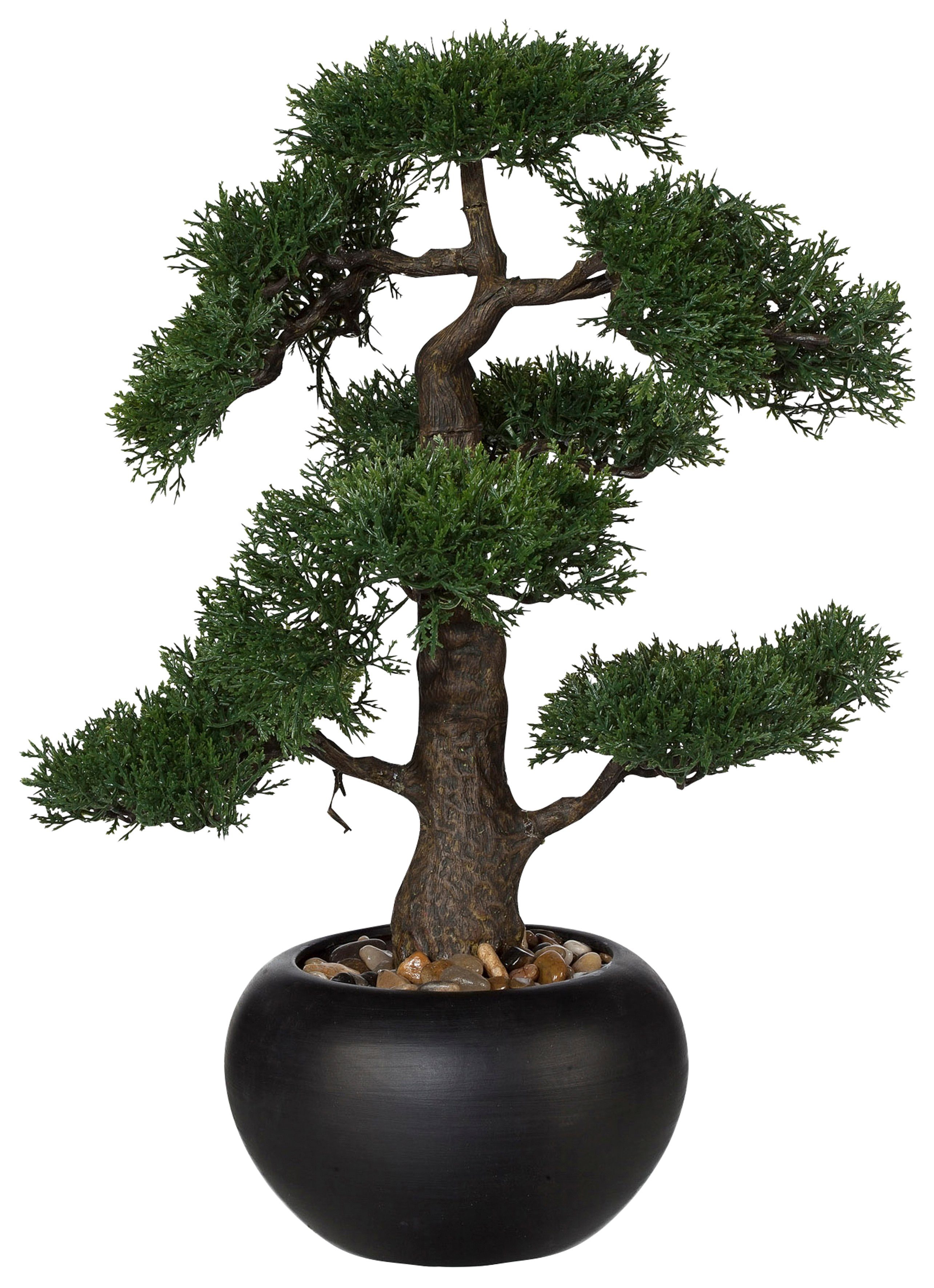 Kunstpflanze Bonsai, Creativ green, Höhe 48 cm günstig online kaufen