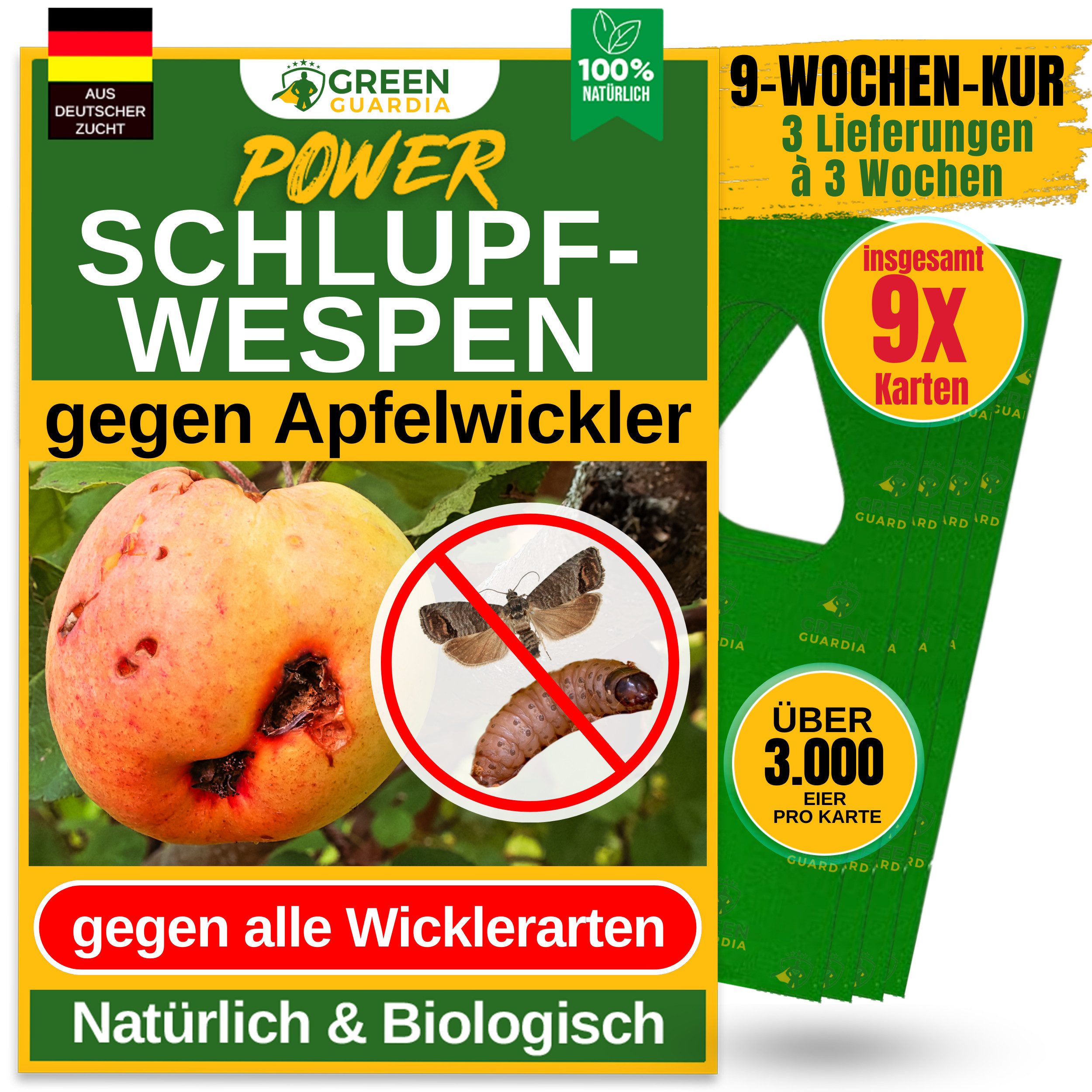 Insektenvernichter Schlupfwespen gegen Apfelwickler, 3-15 Karten -3-Fach-Lieferung