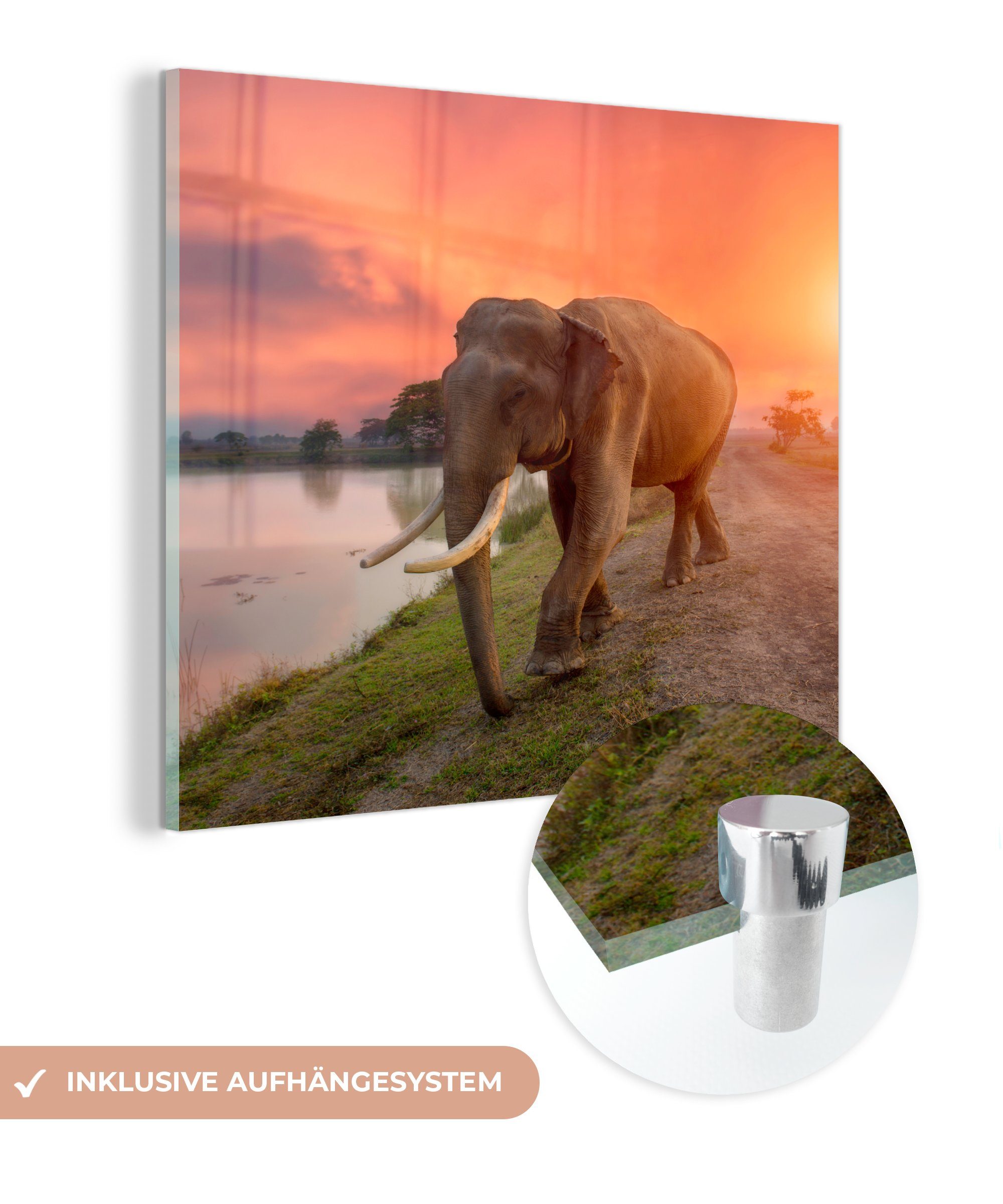 MuchoWow Acrylglasbild Elefant - Wasser - Tiere - Sonnenuntergang - Natur, (1 St), Glasbilder - Bilder auf Glas Wandbild - Foto auf Glas - Wanddekoration