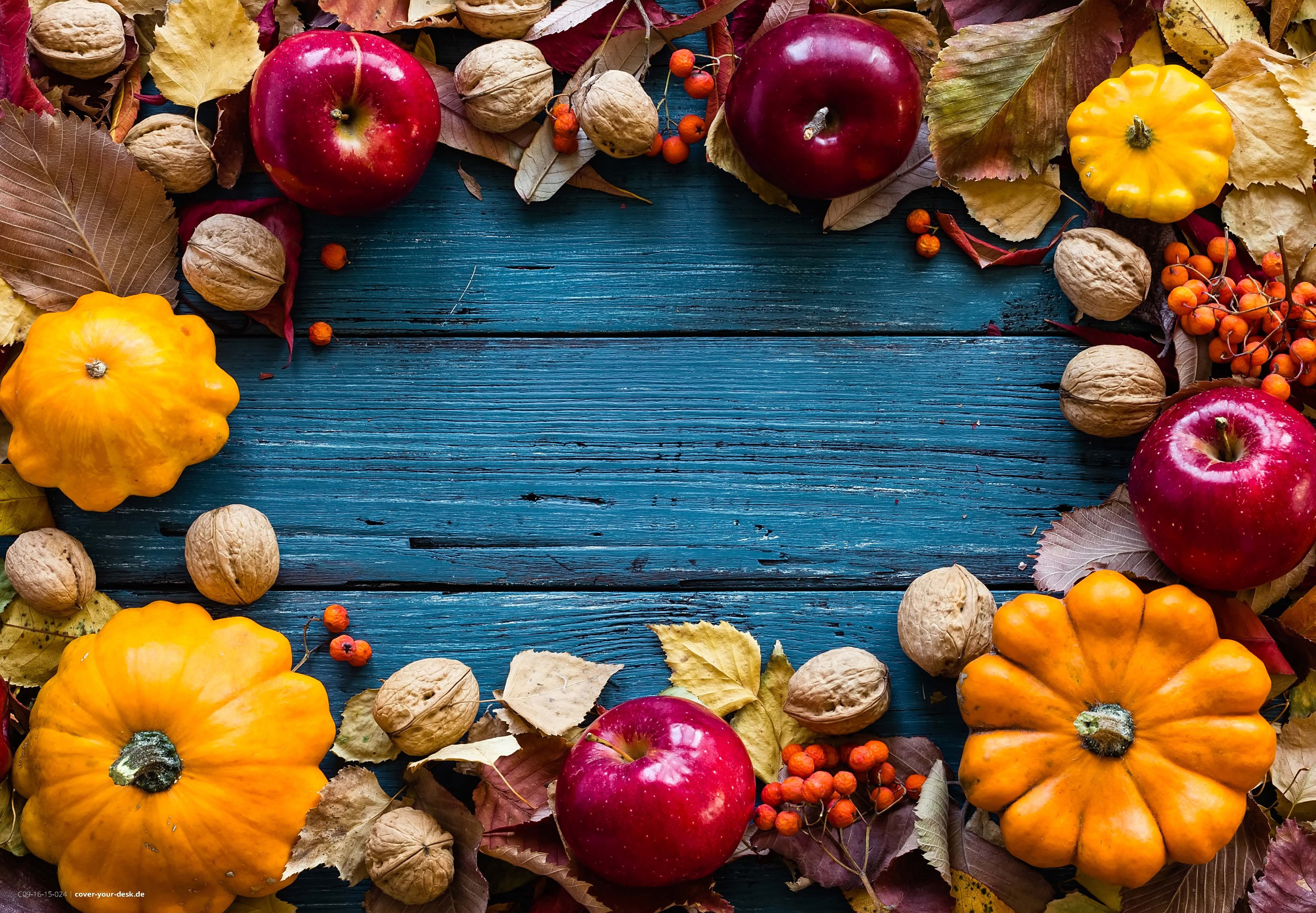 cover-your-desk.de Platzset Tischsets I Platzsets abwaschbar - Herbstliches günstig online kaufen