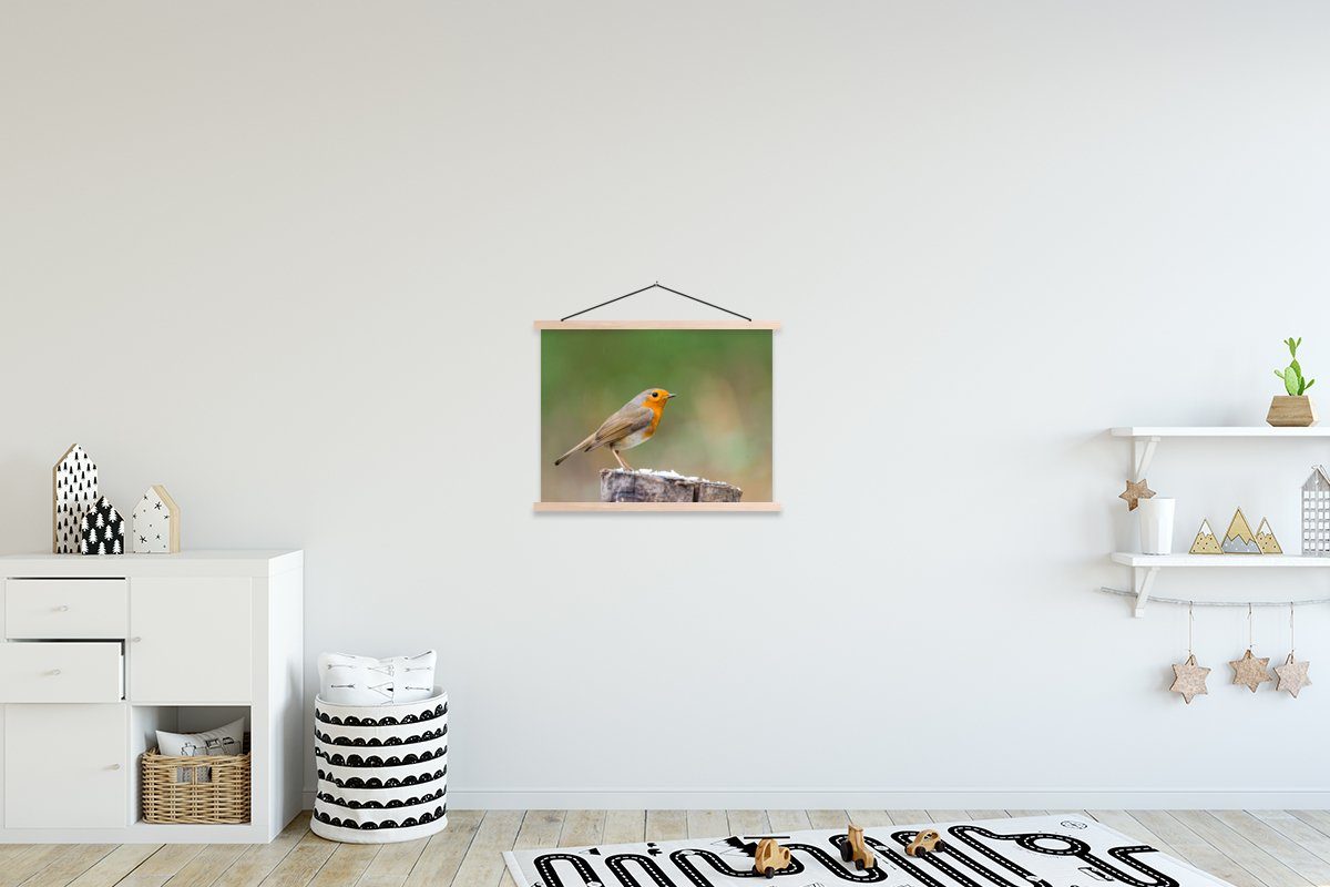 Tiere Bilderleiste, (1 Rotkehlchen, Poster Magnetisch Posterleiste, - für Vogel Wohnzimmer, Textilposter St), - MuchoWow