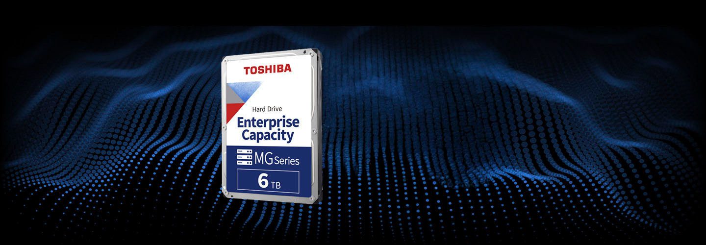 Toshiba MG08-D 6TB interne HDD-Festplatte (6000 GB) 3,5"