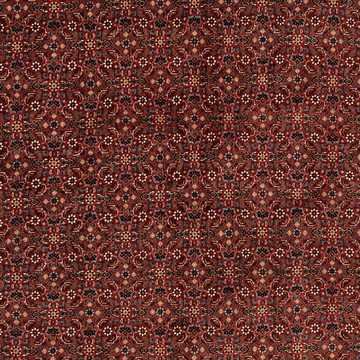 Orientteppich Perser - Bidjar quadratisch - 203 x 197 cm - dunkelrot, morgenland, quadratisch, Höhe: 15 mm, Wohnzimmer, Handgeknüpft, Einzelstück mit Zertifikat