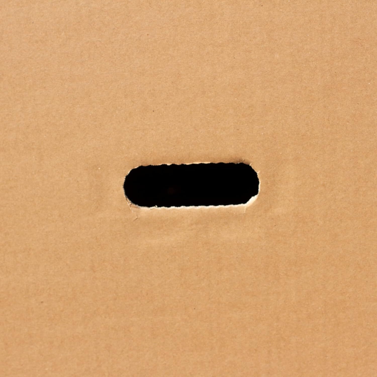 Paket.ag Versandkarton Stabiler E-Bike Karton(180 x 35 x 100cm, 2-wellig)Großer Fahrradkarton