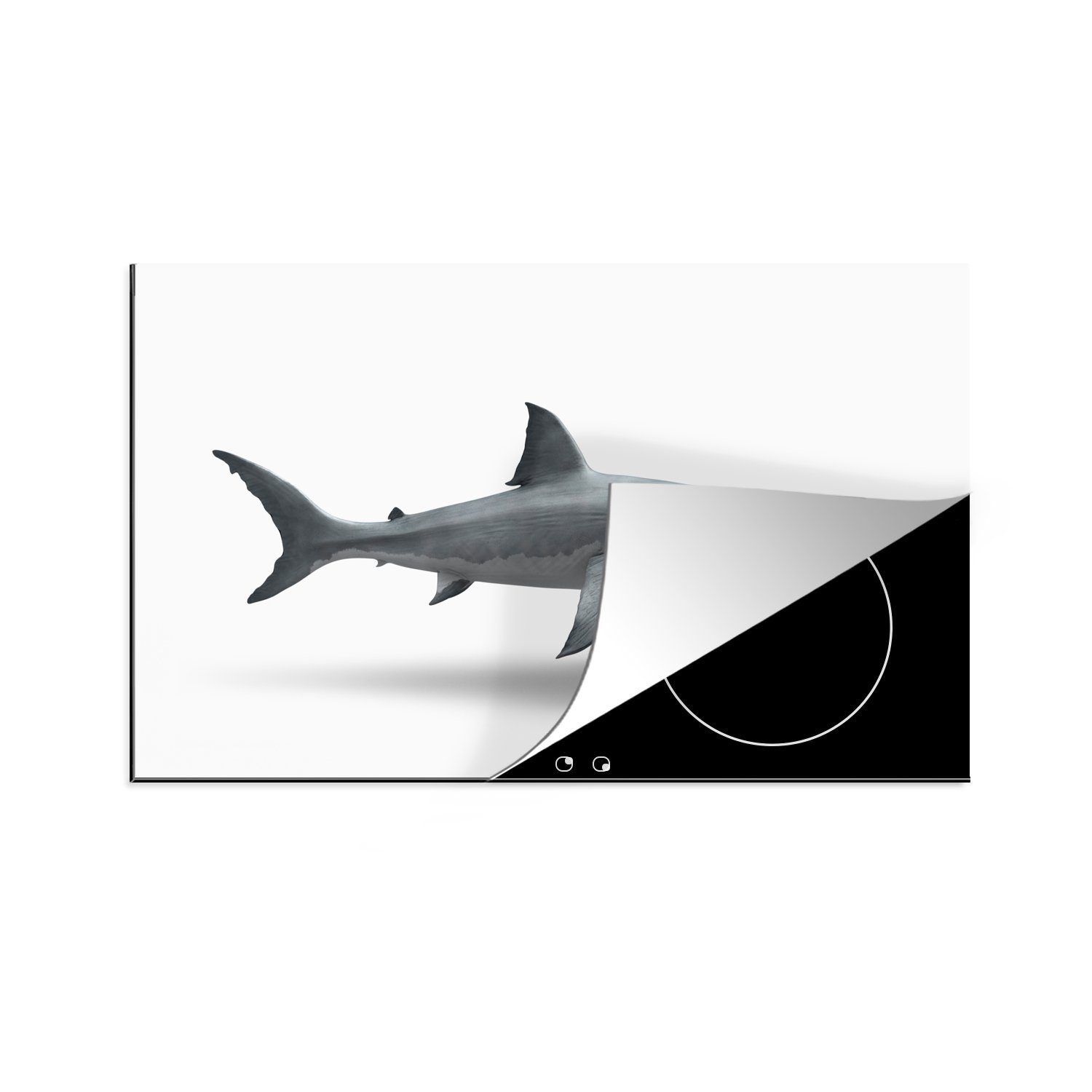 MuchoWow Herdblende-/Abdeckplatte Hai - Meerestiere - Weiß, Vinyl, (1 tlg), 81x52 cm, Induktionskochfeld Schutz für die küche, Ceranfeldabdeckung