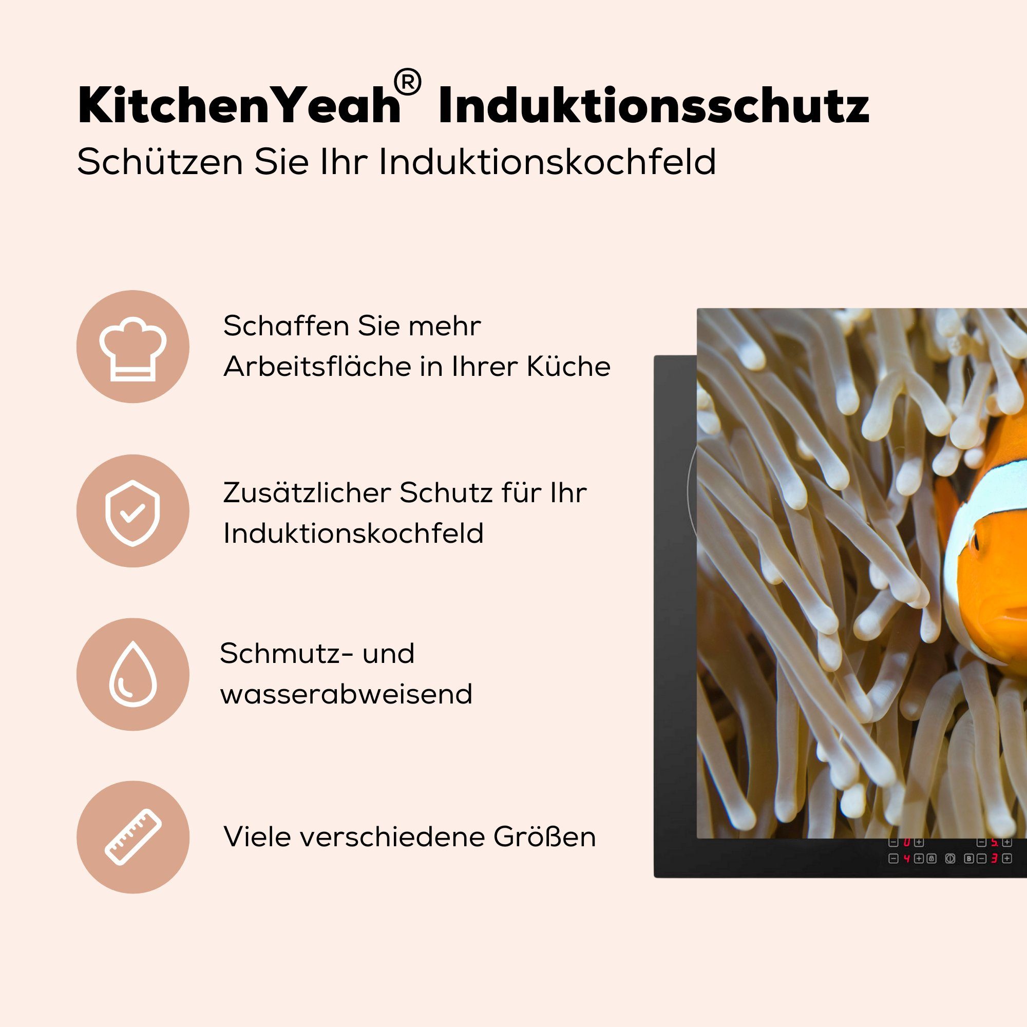 küche, (1 die 81x52 Clownfisch Induktionskochfeld späht Herdblende-/Abdeckplatte Vinyl, Schutz Koralle, Ceranfeldabdeckung für cm, der aus MuchoWow tlg),