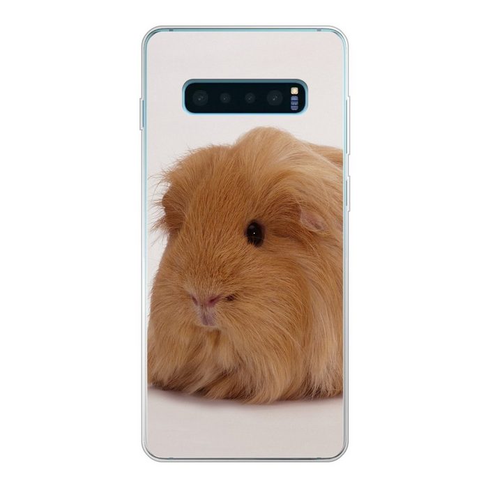 MuchoWow Handyhülle Sheltie-Meerschweinchen Phone Case Handyhülle Samsung Galaxy S10 Lite Silikon Schutzhülle
