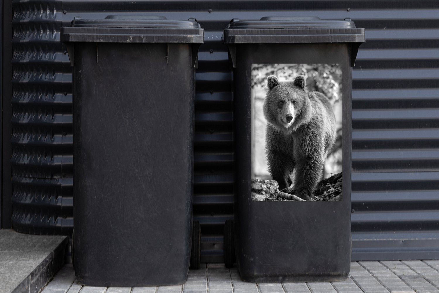 (1 Mülltonne, Braunbär Abfalbehälter weiß und schwarz Porträt St), Container, - Wandsticker MuchoWow Sticker, Mülleimer-aufkleber,