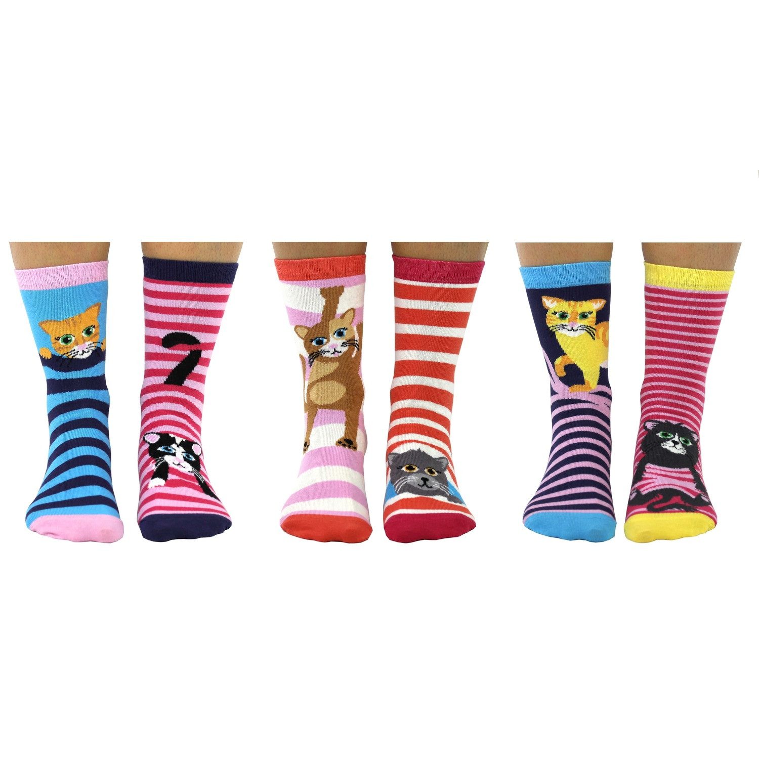 United Oddsocks Freizeitsocken Feline Good Katzen günstig online kaufen