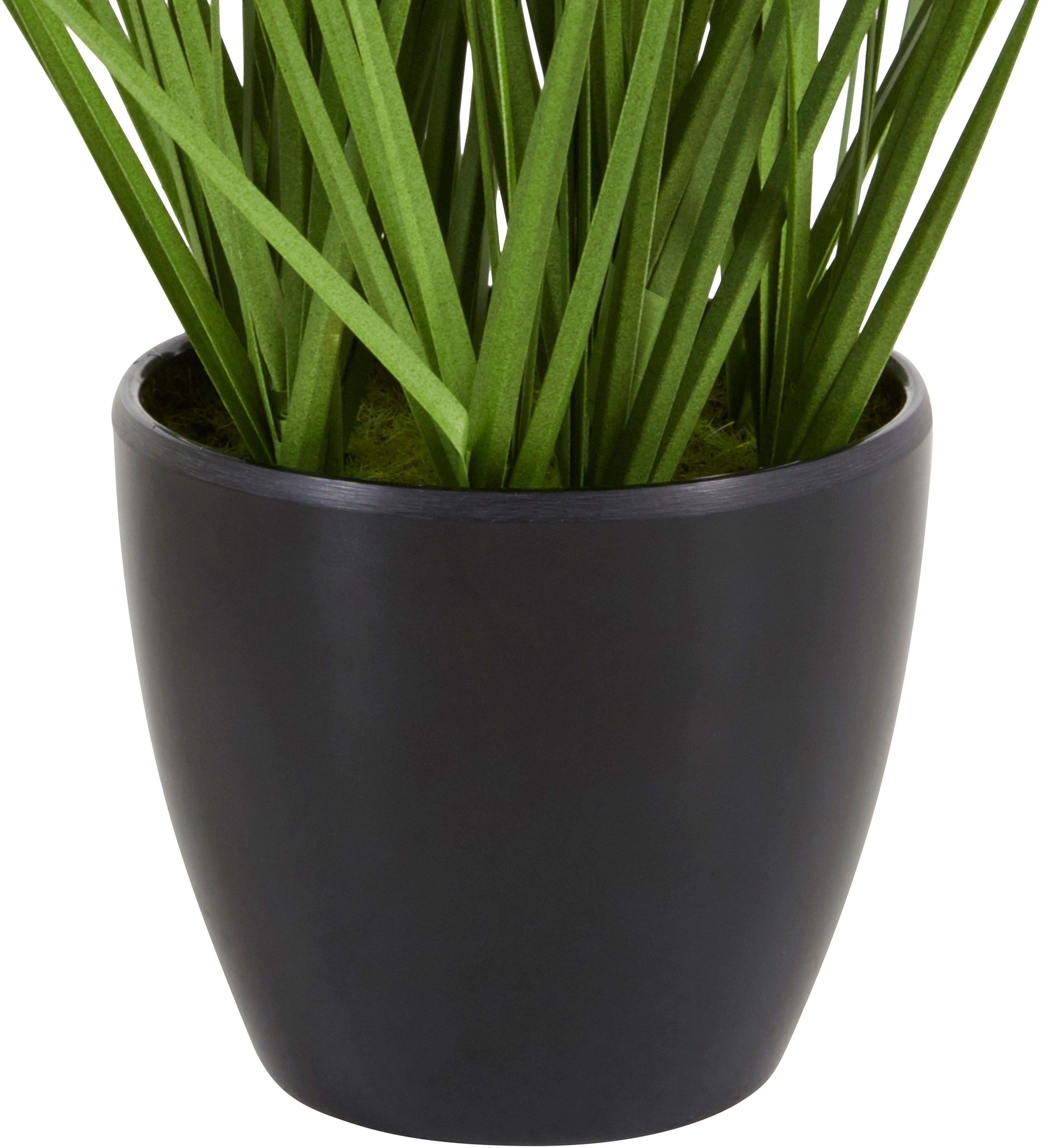 3er-Set Topf, Kunstpflanze, Leonique, Gras, mit Grasbusch 35 Kunstgras im cm, grün/schwarz Kletten, Höhe