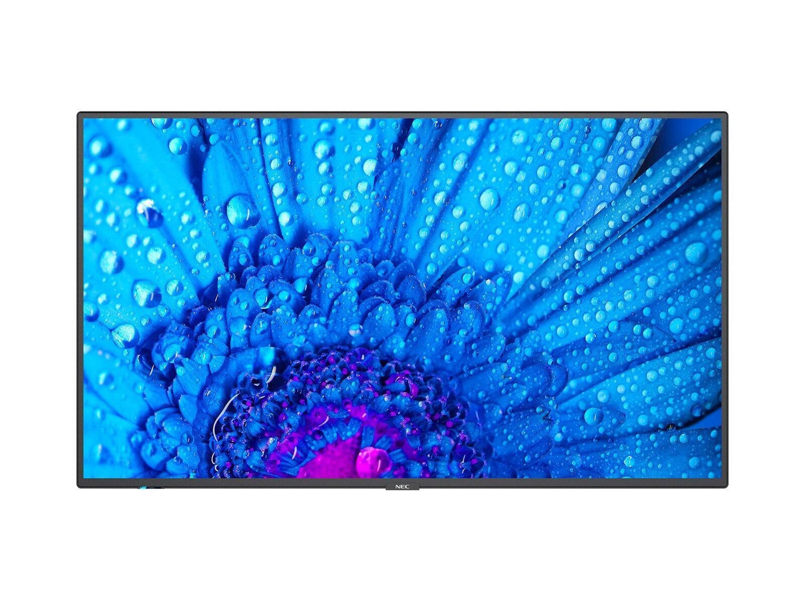 NEC NEC MultiSync® M431 LCD 43' Message Large Format D LED-Monitor (3840 x 2160, 8 ms Reaktionszeit, 60 Hz, IPS Panel)